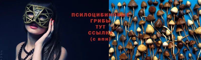 Галлюциногенные грибы Magic Shrooms  Борзя 